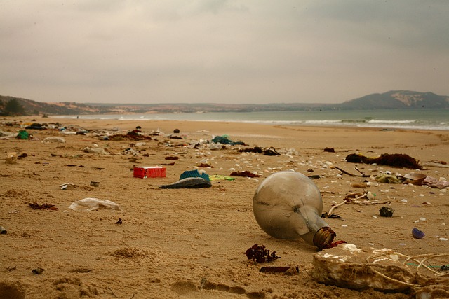 Beach with litter